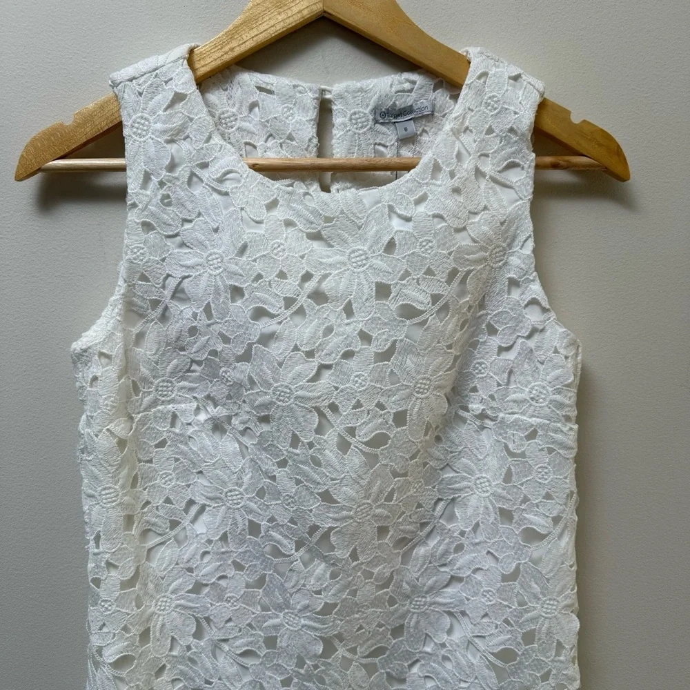 Target Collection 🎯 Lace Shift Dress